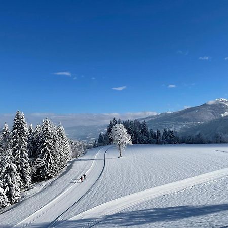 Aparthotel Burglehnerhof Ramsau am Dachstein Exteriér fotografie