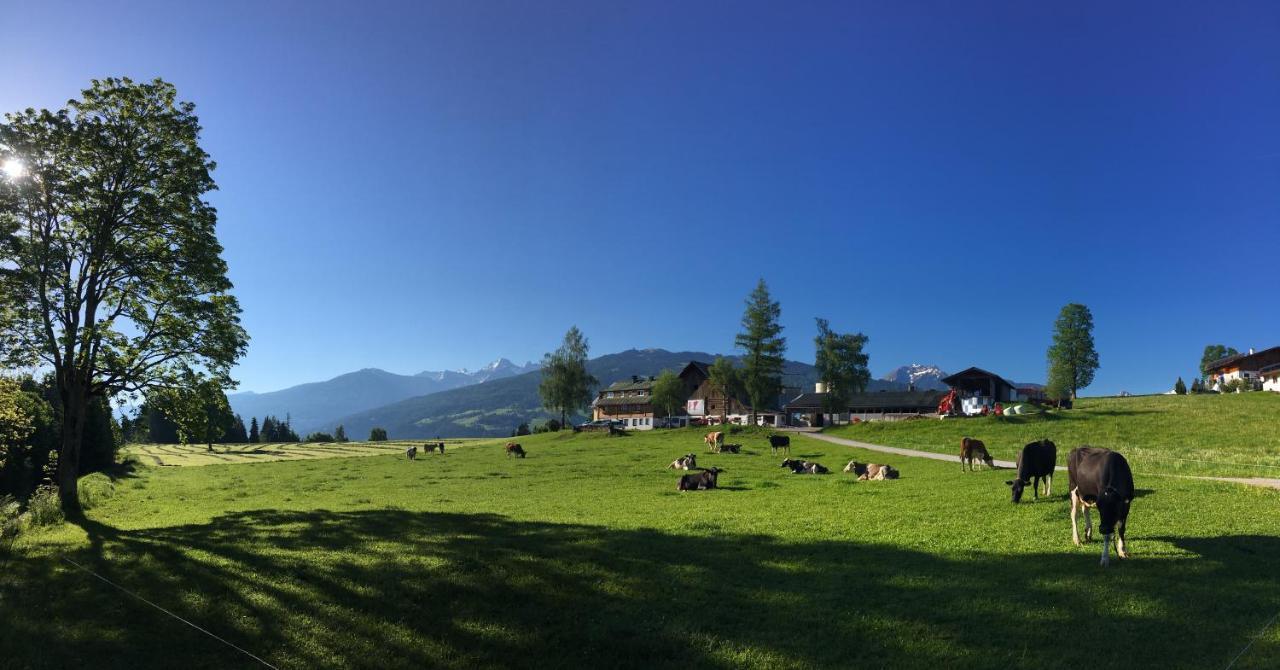 Aparthotel Burglehnerhof Ramsau am Dachstein Exteriér fotografie