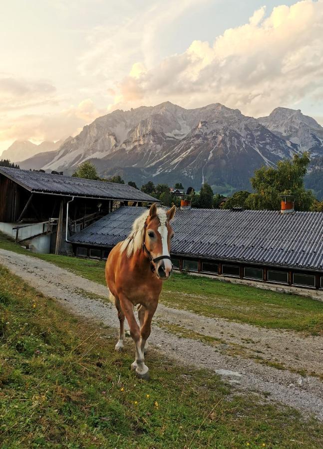Aparthotel Burglehnerhof Ramsau am Dachstein Exteriér fotografie