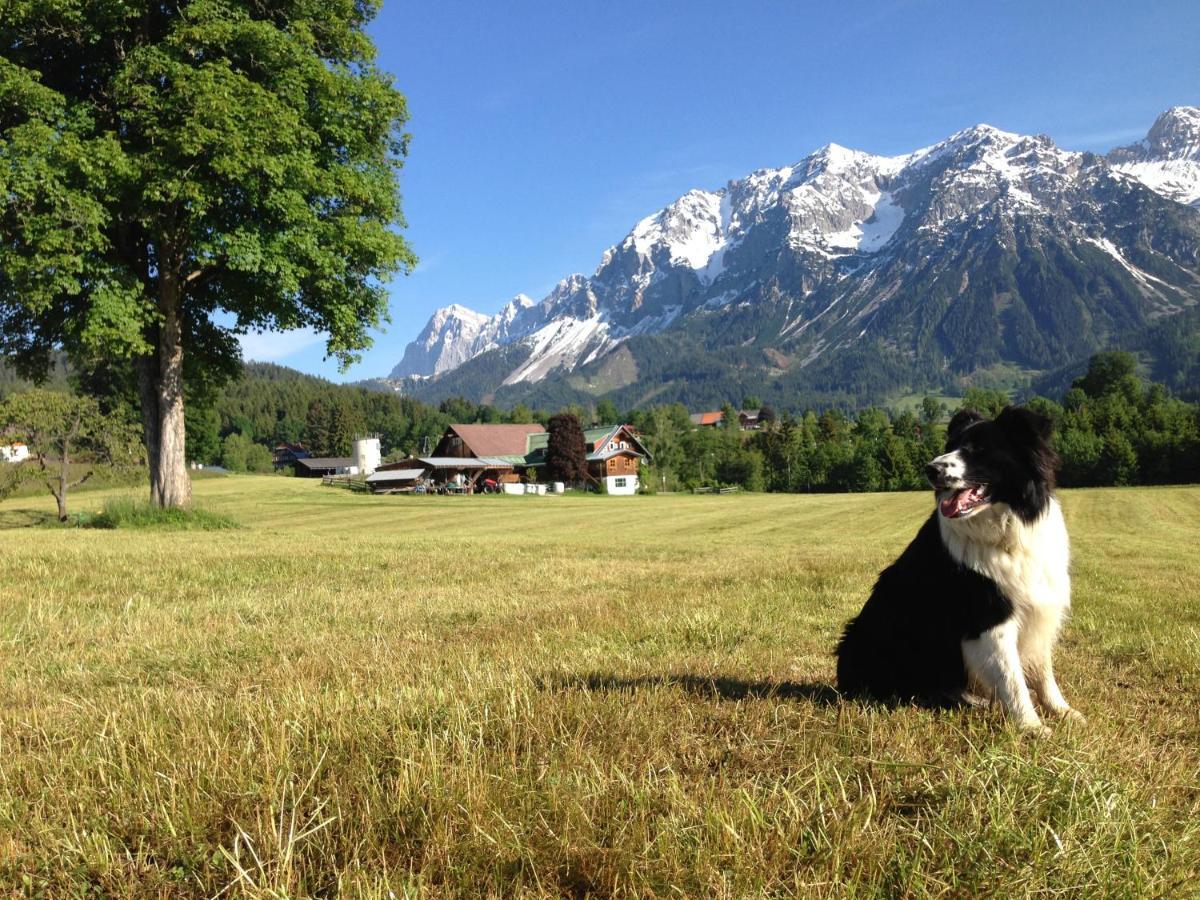 Aparthotel Burglehnerhof Ramsau am Dachstein Exteriér fotografie