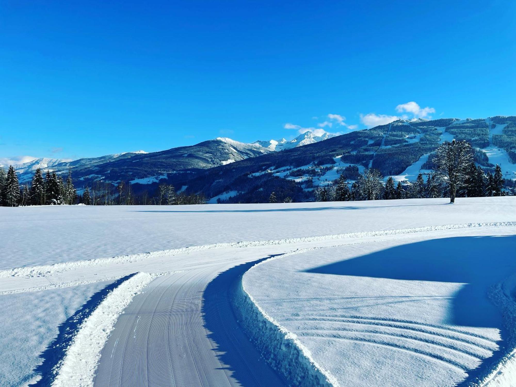 Aparthotel Burglehnerhof Ramsau am Dachstein Exteriér fotografie