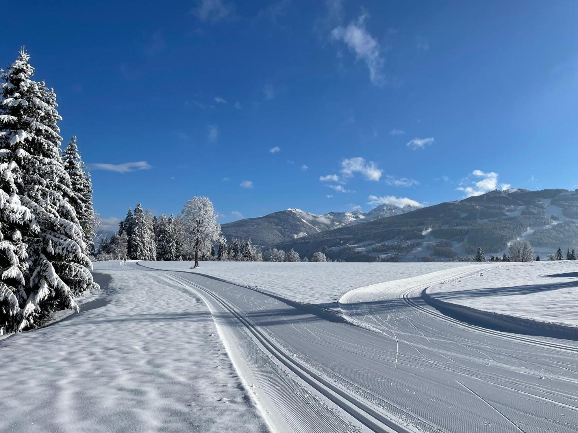 Aparthotel Burglehnerhof Ramsau am Dachstein Exteriér fotografie